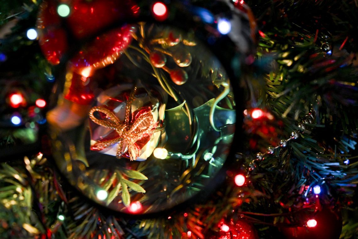 Foto projekt 365 Zašto na Badnjak kitimo bor