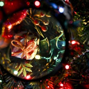 Foto projekt 365 Zašto na Badnjak kitimo bor