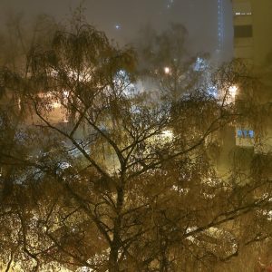 Foto projekt 365 12-13-2025 Magla 24 sata s mog prozora