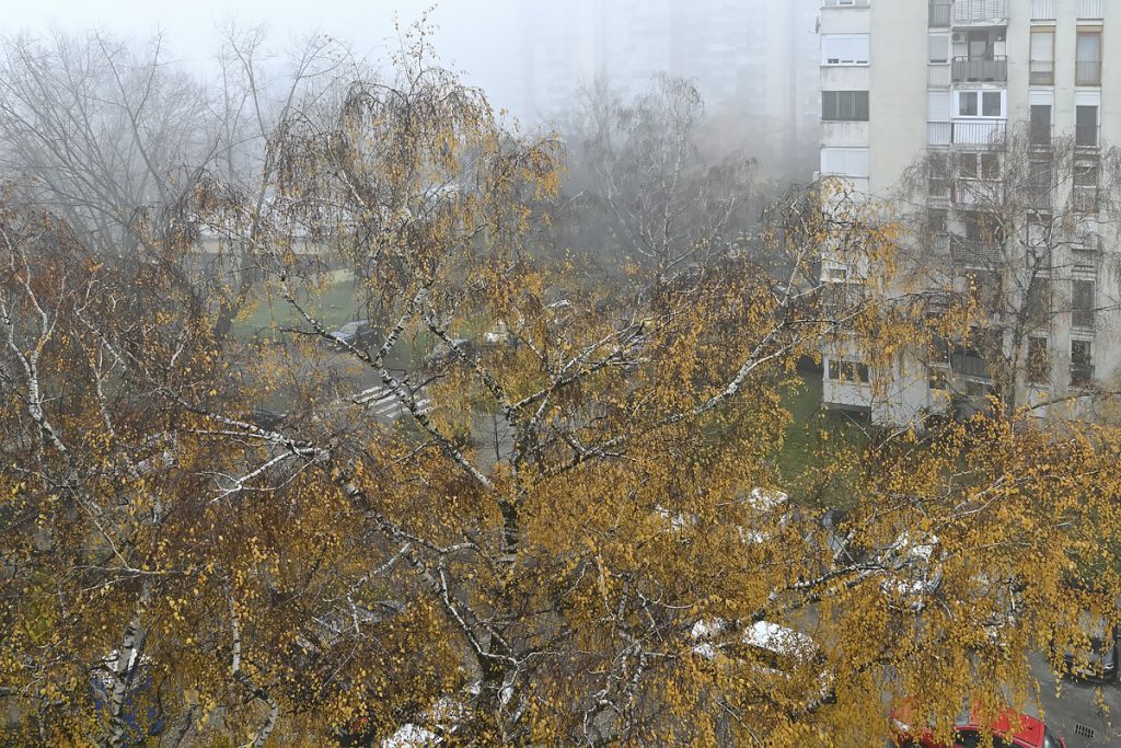 Foto projekt 365 12-13-2025 Magla 24 sata s mog prozora