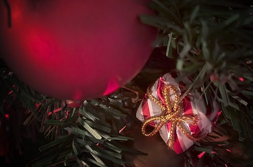 Foto projekt 365 12-31-2025 Sretna nova 2026 godina