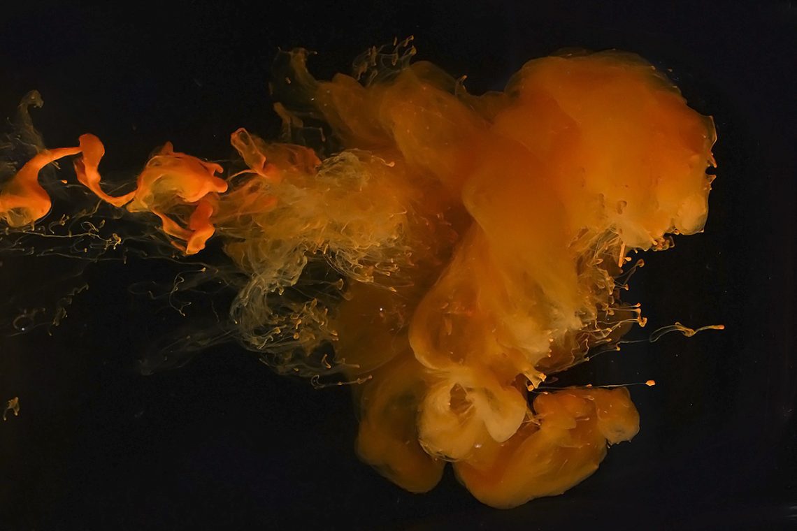 Foto projekt 365 12-27-2025 Dinamika fluida raznih gustoća na makro fotografiji