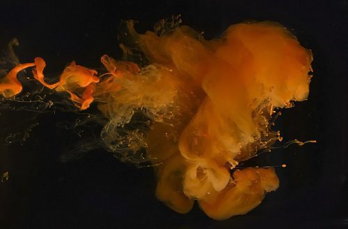 Foto projekt 365 12-27-2025 Dinamika fluida raznih gustoća na makro fotografiji