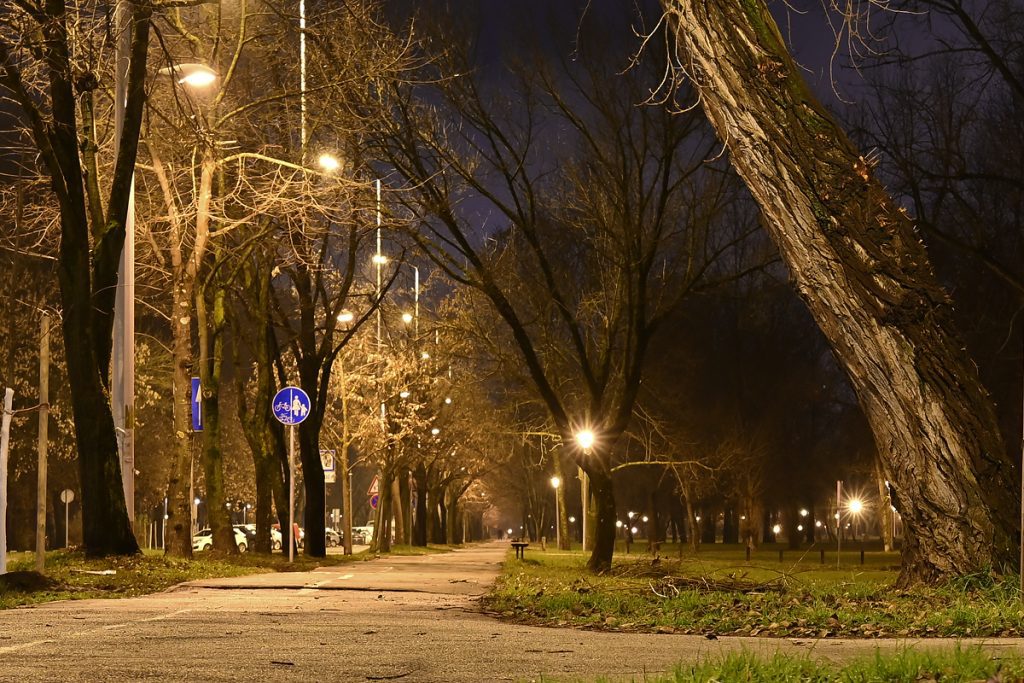 Foto projekt 365 01-03-2026 Savski napis u noći Super Mjeseca