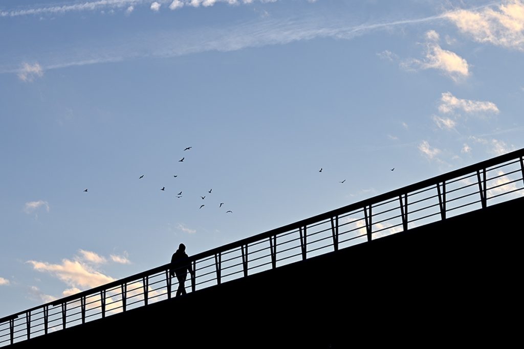 Foto projekt 365 01-14-2026 siluete izrađene fotografiranjem u kontra svjetlu