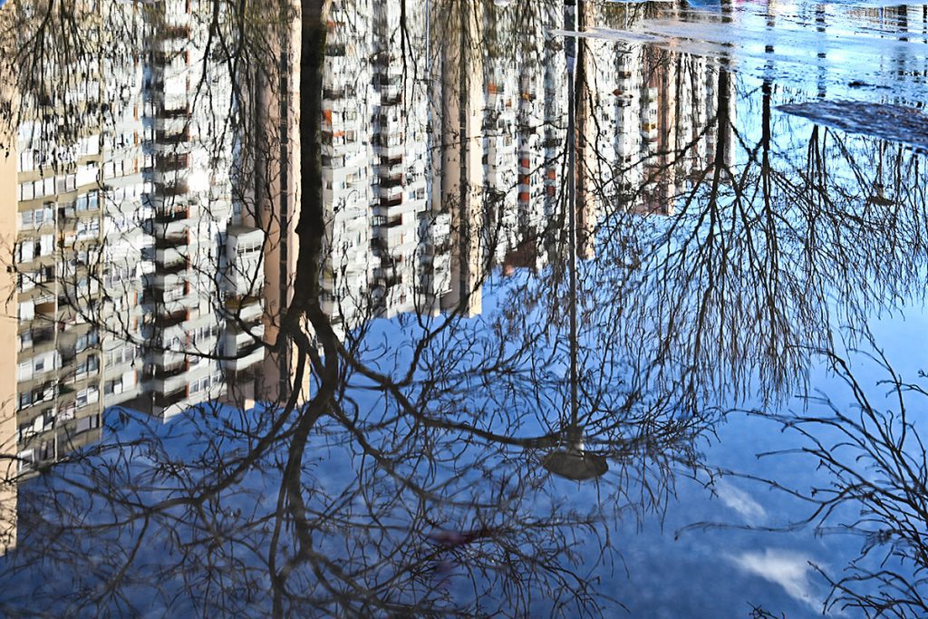 Foto projekt 365 01-14-2026 Odrazi u lokvama i simbolika obrnute stvarnosti