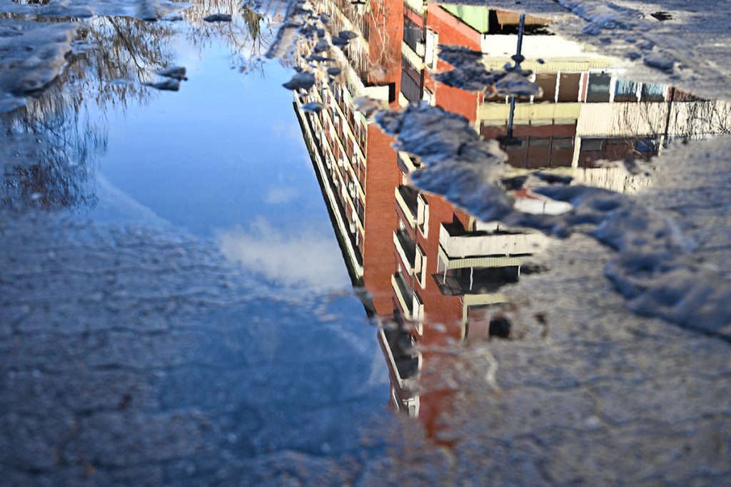 Foto projekt 365 01-14-2026 Odrazi u lokvama i simbolika obrnute stvarnosti