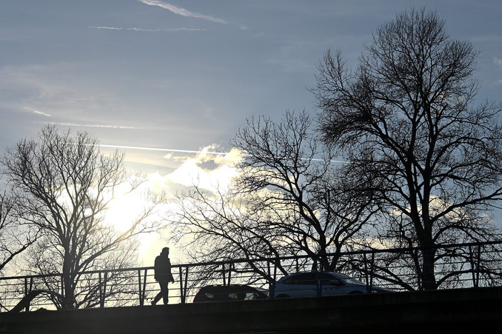 Foto projekt 365 01-14-2026 siluete izrađene fotografiranjem u kontra svjetlu