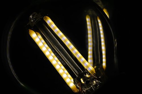 Foto projekt 365 01-17-2026 Unutarnji makro sjaj