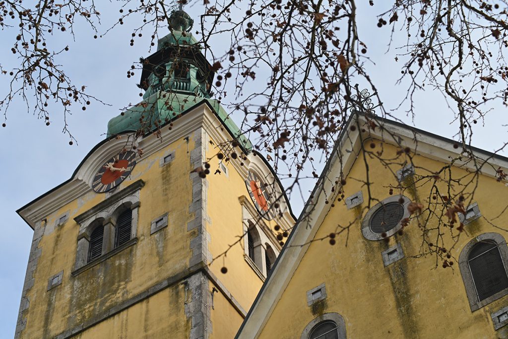 Foto projekt 365 01-17-2026 Potraga za dobrim kadrom na minusima