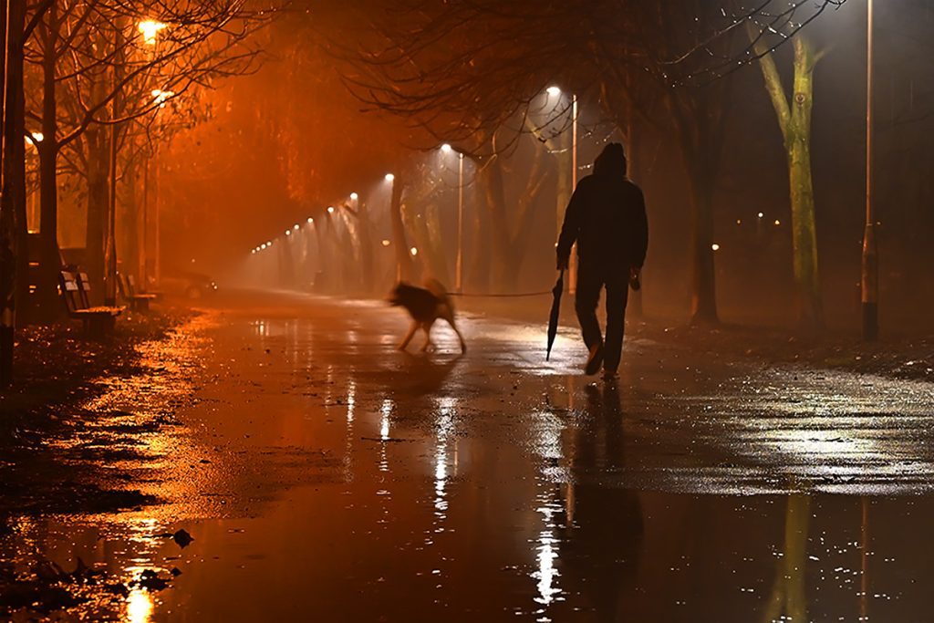 Foto projekt 365 01-22-2026 Estetika pokreta, boja i mokrog asfalta