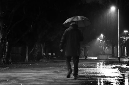 Foto projekt 365 01-28-2026 Umijeće preživljavanja fotografskog sivila