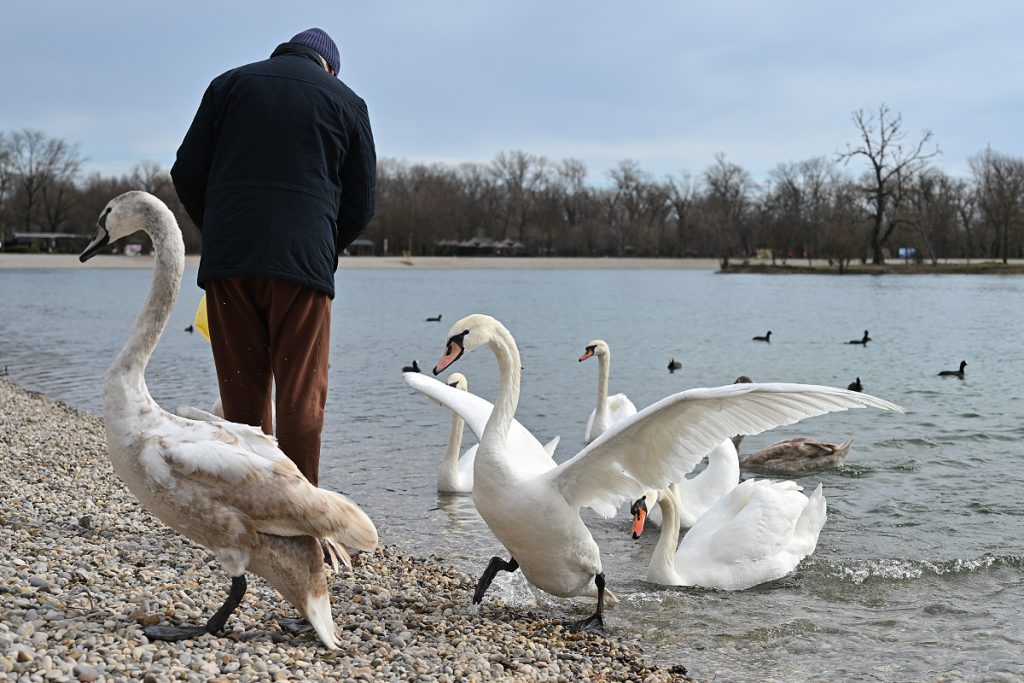 Foto projekt 365 02-12-2026 Nepredvidiva veljača i moje strpljenje