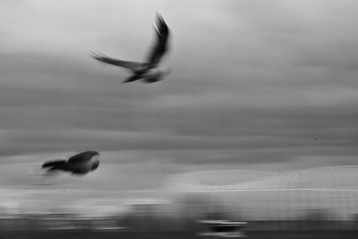 Foto projekt 365 02-12-2026 Nepredvidiva veljača i moje strpljenje