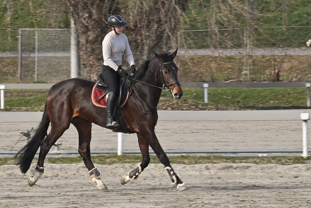 Bez brzine, ali s karakterom