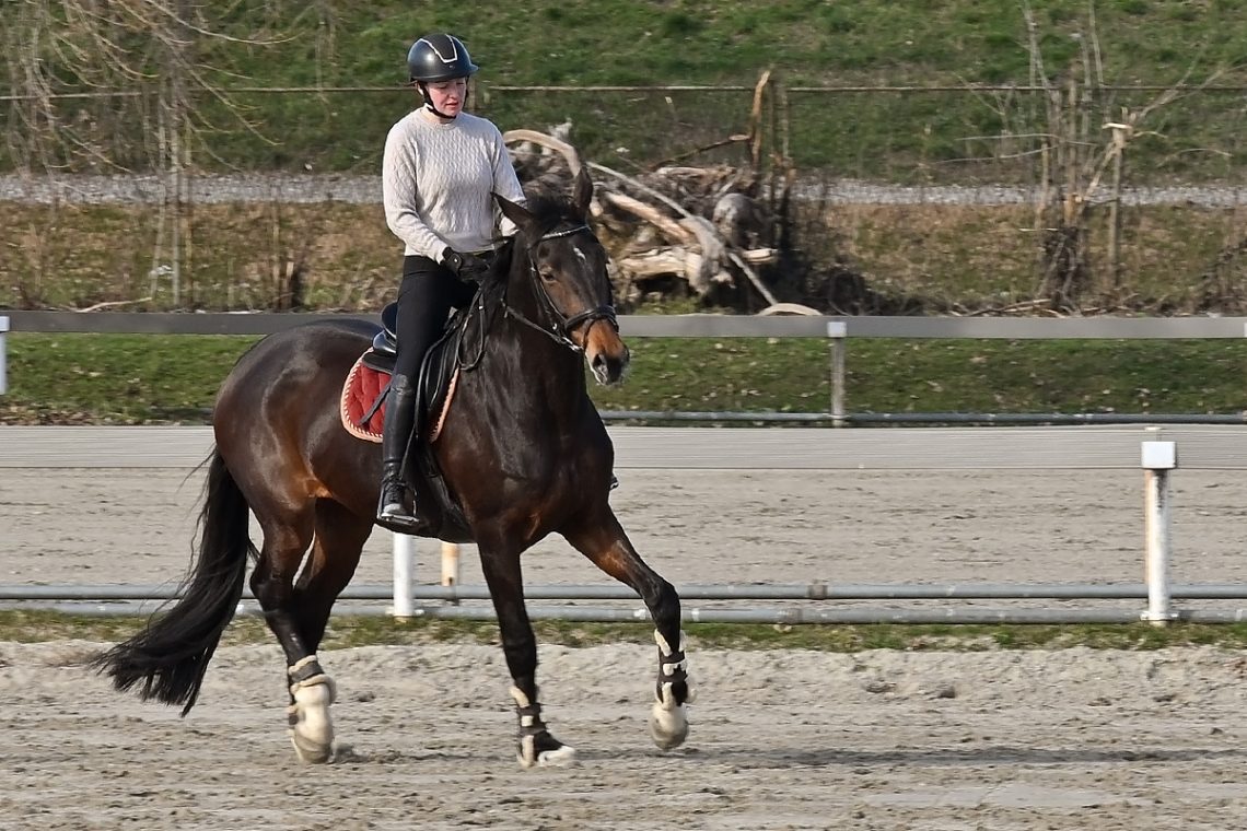 Foto projekt 365 02-18-2026 Bez brzine, ali s karakterom