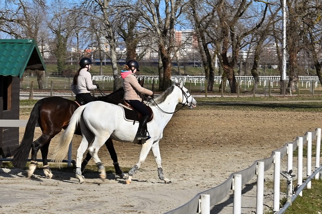 Bez brzine, ali s karakterom