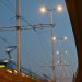 Noćna fotografija tramvaja u pokretu i ptica na stupovima rasvjete u Zagrebu