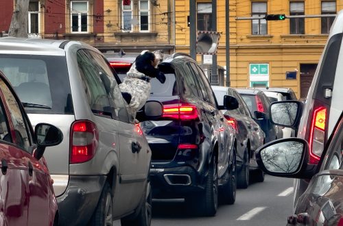 Bassetovski stav u gradskoj gužvi