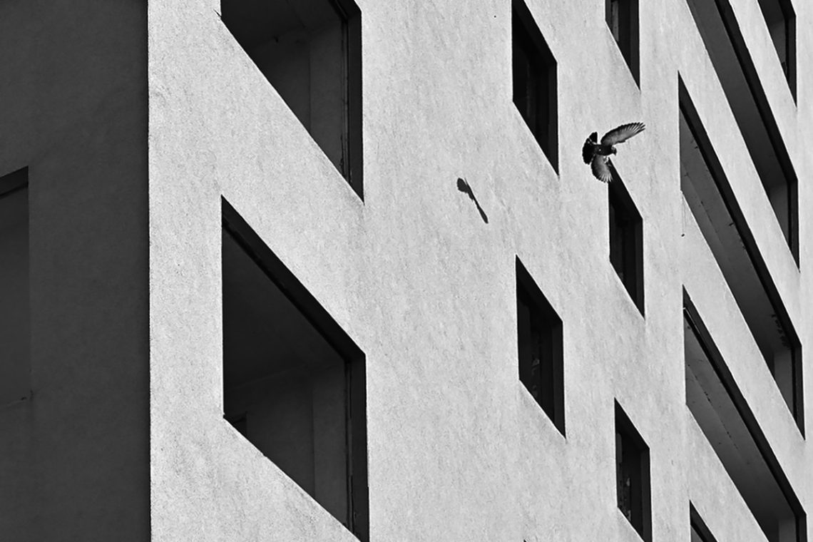 Beton, kontrast, život na fotografiji nedovršene zgrade