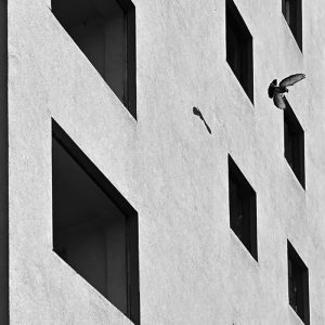 Beton, kontrast, život na fotografiji nedovršene zgrade