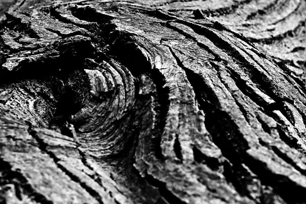 Ljepota prirodne teksture