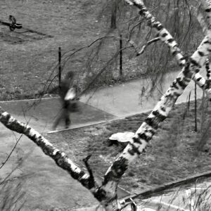 Oluja koja budi neugodna sjećanja