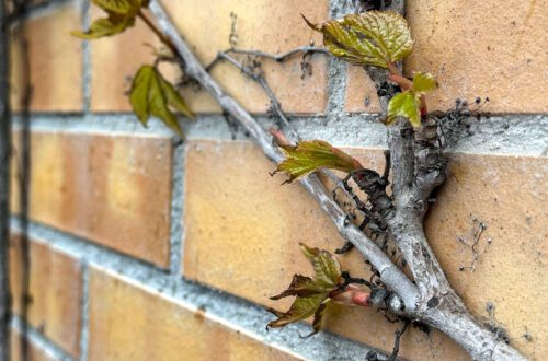 Ravnoteža oblačnog dana