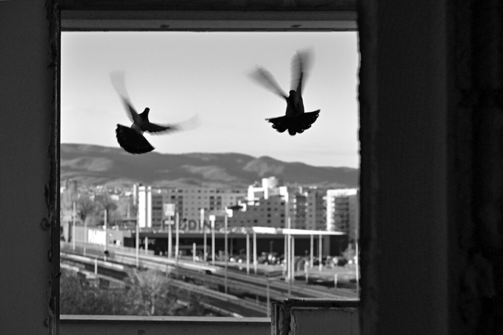 Život u betonskoj pustoši