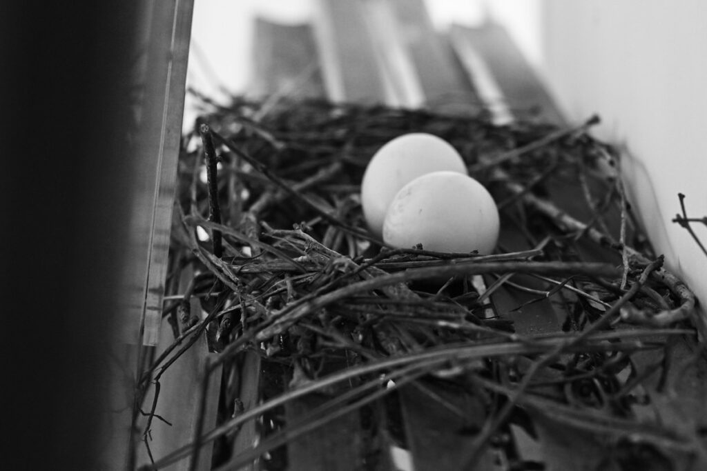 Život u betonskoj pustoši