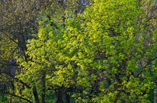 Vrijeme prolazi neprimjetno