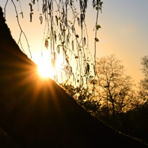 Ljepota oko nas u ovo ran o proljetno vrijeme