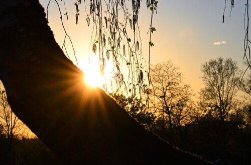 Ljepota oko nas u ovo ran o proljetno vrijeme