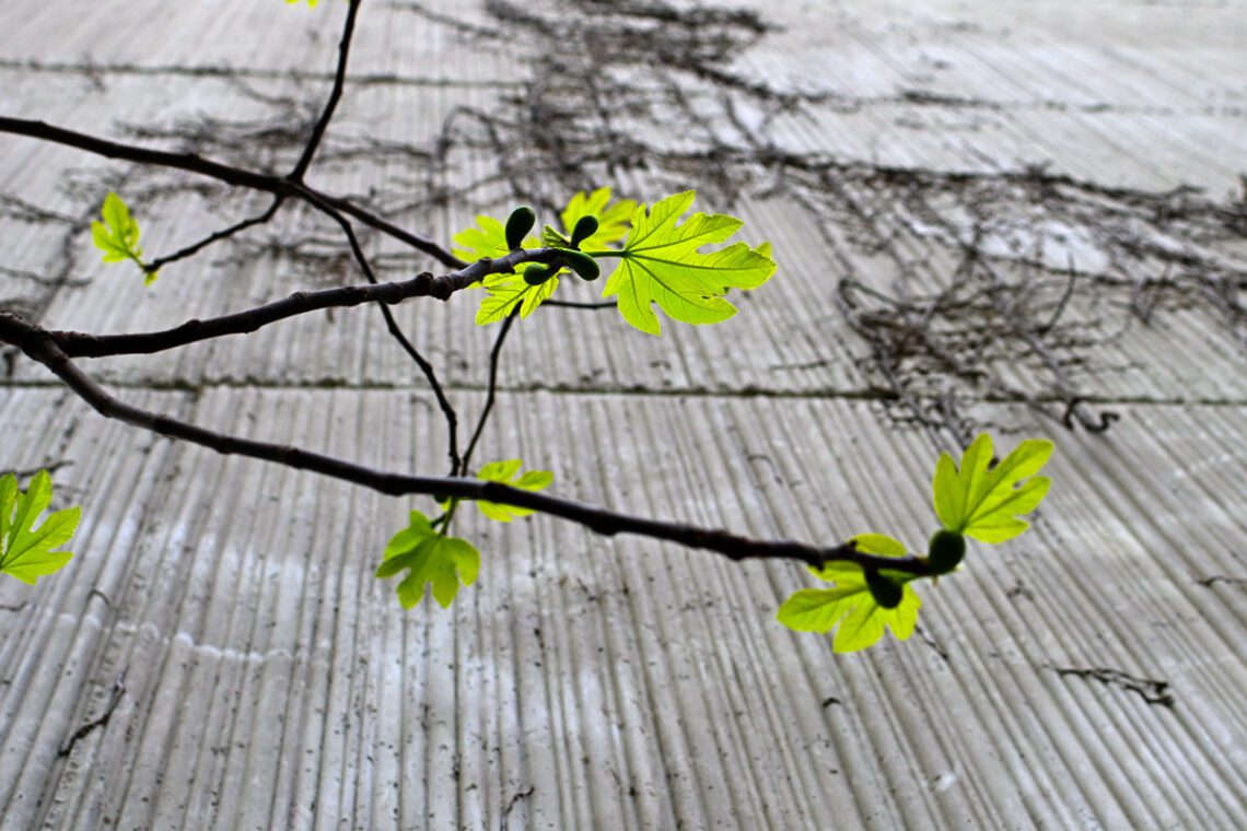 Tri stanja u jednom kadru