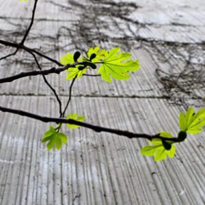 Tri stanja u jednom kadru