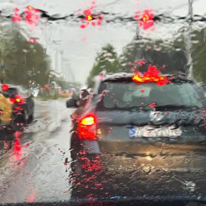 Kada jutro odredi dan