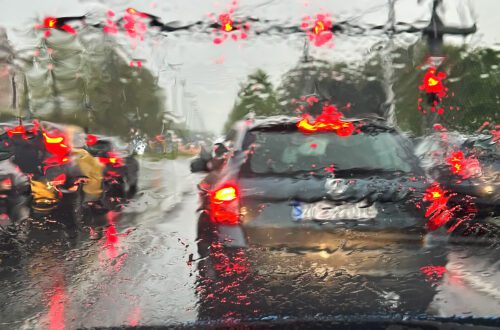 Kada jutro odredi dan