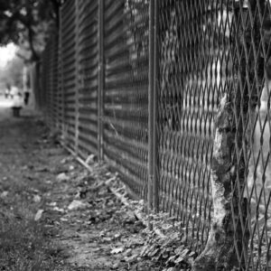 Dobivena bitka izgubljeni rat