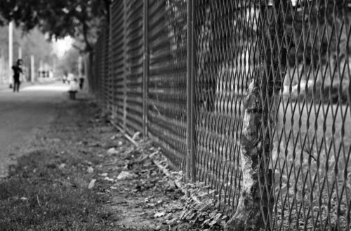 Dobivena bitka izgubljeni rat