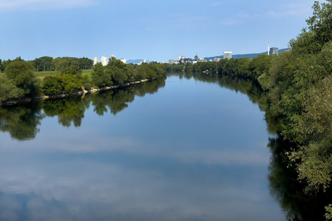 Dnevna fotografija čestog noćnog kadra