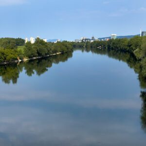 Dnevna fotografija čestog noćnog kadra