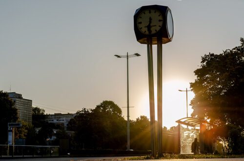 Rano jutro u kolovozu