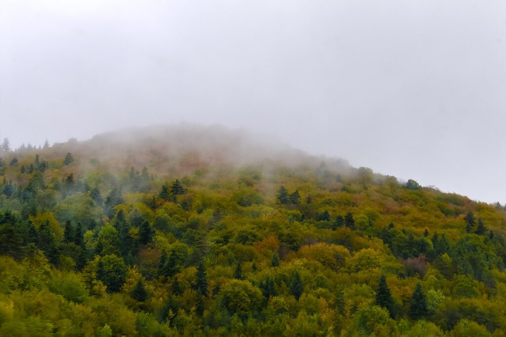Od Zadra do Zagreba