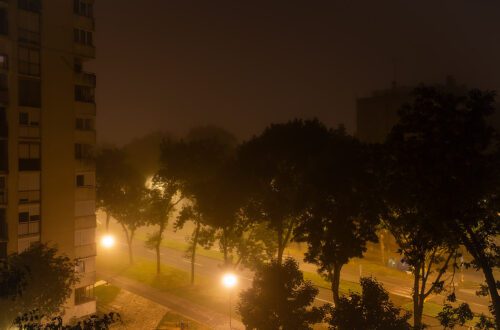 Prva jesenka ranojutarnja magla