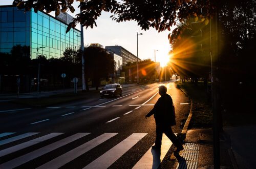 Sunce, mačka, mjesec - fotografiranje bez unaprijed određene teme