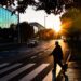 Sunce, mačka, mjesec - fotografiranje bez unaprijed određene teme