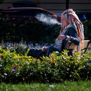 Poneki detalj sunčanog prijepodneva