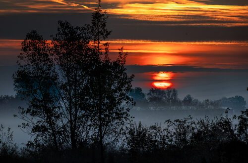 Jesensko svitanje, rano jutro i izlazak Sunca uz malo magle