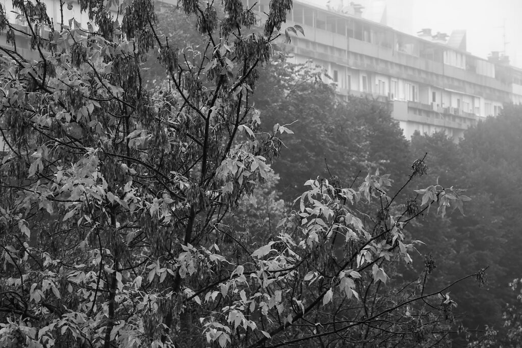 Magla u rano jutro iznad Zagreba krajem listopada
