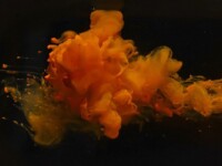 Foto projekt 365 12-27-2025 Dinamika fluida raznih gustoća na makro fotografiji Foto projekt 365 12-27-2025 Dinamika fluida raznih gustoća na makro fotografiji